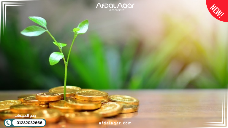 أفضل استثمار في الوقت الحالي أفضل استثمار في الوقت الحالي