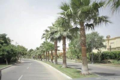 Gardenia Park 1 in 6th of October City by IGI Real Estate في 6th of October City