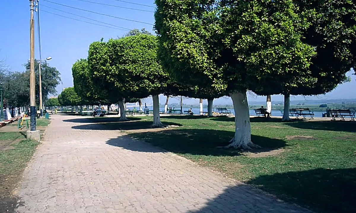 كورنيش مدينة المنيا على النيل